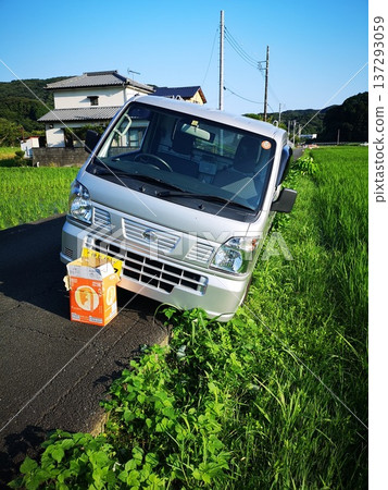 一輛由一位老人駕駛的輕型卡車墜入稻田。 一輛由一位老人駕駛的輕型卡車墜入稻田。 137293059
