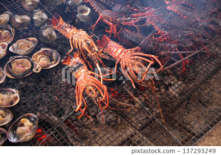 炭火烤伊勢蝦 137293249