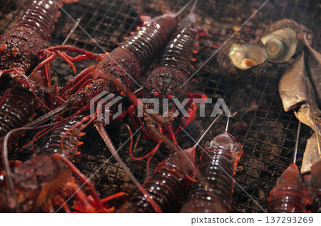 炭火烤伊勢蝦 137293269