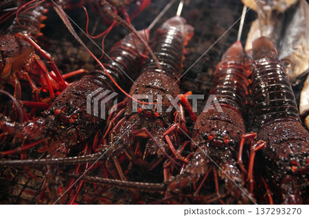 炭火烤伊勢蝦 137293270