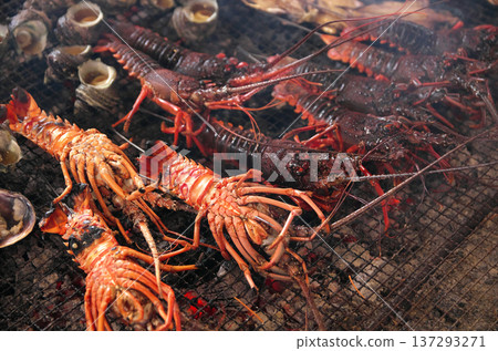 炭火烤伊勢蝦 137293271
