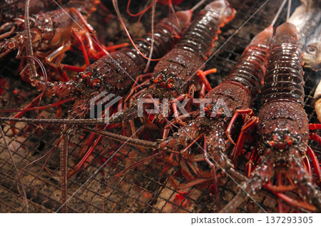 炭火烤伊勢蝦 137293305