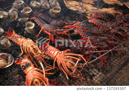 炭火烤伊勢蝦 137293307