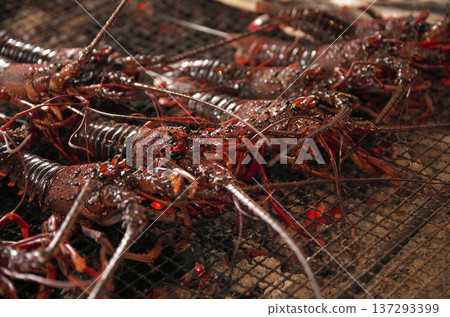 Charcoal-grilled Ise shrimp 137293399