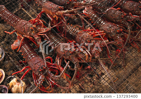Charcoal-grilled Ise shrimp Charcoal-grilled Ise shrimp 137293400