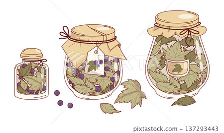 Dried Black Currant Berries and Leaves in Jars Set. Isolated Homemade Herbal Tea Mix in Rustic Glass with Craft Paper Lid and Label tag. Vector Illustration. Home-made Dried Herb Collection 137293443