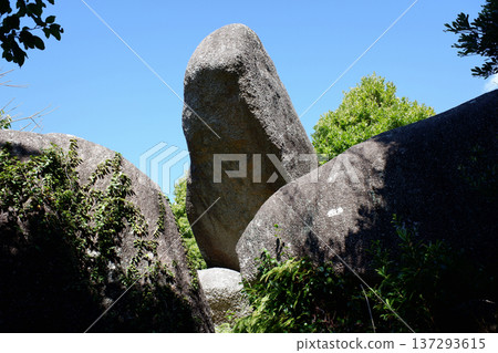 高知縣東陣場遺址和東陣石巨石 高知縣東陣場遺址和東陣石巨石 137293615
