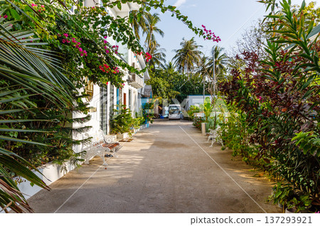 Tropical path lined with vibrant flowers and lush palms Tropical path lined with vibrant flowers and lush palms 137293921