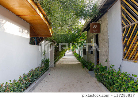 Lush greenery arches over a tranquil pathway Lush greenery arches over a tranquil pathway 137293937