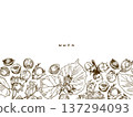 Horizontal banner with vector hand drawn linear drawing of hazelnuts and leaves on a white background. 137294093