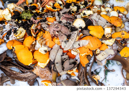 Mixed Organic Food Waste And Fruit Peels In Outdoor Compost Bin Mixed Organic Food Waste And Fruit Peels In Outdoor Compost Bin 137294343