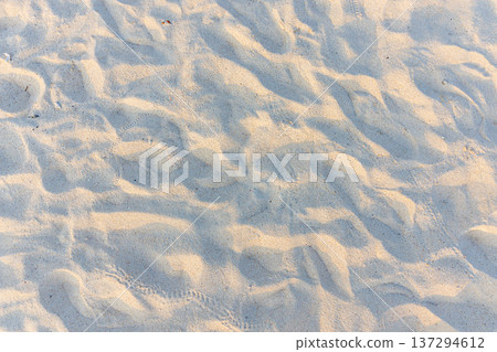Soft sand ripples glow under gentle sunlight Soft sand ripples glow under gentle sunlight 137294612