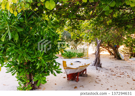 Small boat rests beneath lush green trees Small boat rests beneath lush green trees 137294631