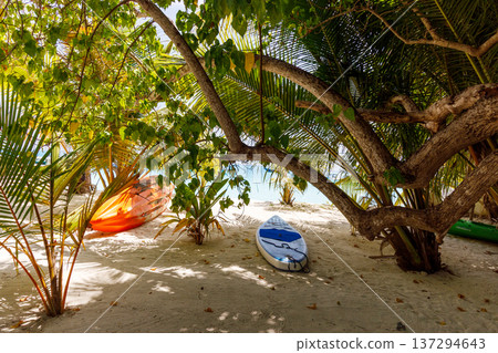 Sun-dappled beach with palm trees and surfboards 137294643