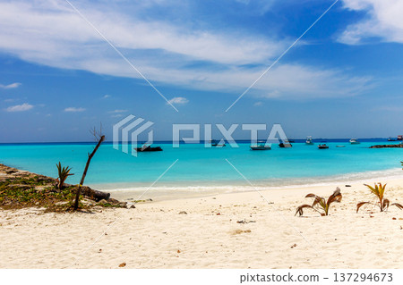 Perfect tropical beach with turquoise waters and calm sky Perfect tropical beach with turquoise waters and calm sky 137294673