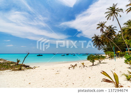 White sand meets turquoise sea under a vast blue sky White sand meets turquoise sea under a vast blue sky 137294674