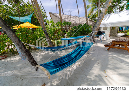 Blue hammock rests between palm trees Blue hammock rests between palm trees 137294680