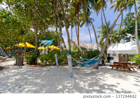 Sun-dappled beach with hammocks and palm trees Sun-dappled beach with hammocks and palm trees 137294682