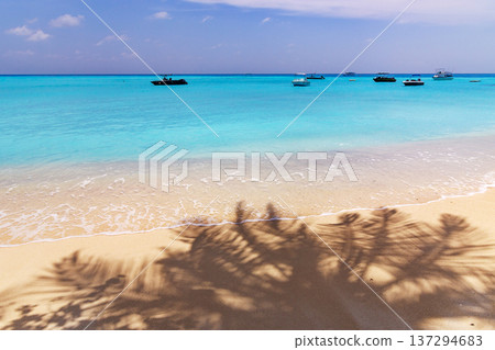 Sunlit beach with turquoise waters and soft white sand Sunlit beach with turquoise waters and soft white sand 137294683