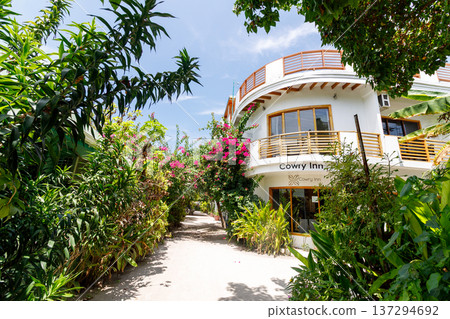 Lush greenery frames a charming guesthouse Lush greenery frames a charming guesthouse 137294692