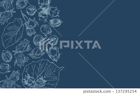 Horizontal banner with vector hand drawn linear drawing of hazelnuts and leaves on a dark blue background. Horizontal banner with vector hand drawn linear drawing of hazelnuts and leaves on a dark blue background. 137295254