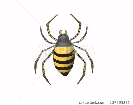 蜘蛛的插圖 蜘蛛的插圖 137295285