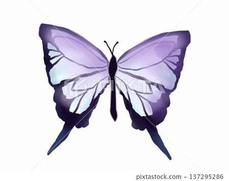 蝴蝶展開雙翼的插圖 蝴蝶展開雙翼的插圖 137295286