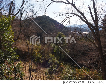 Nostalgic landscape Nostalgic landscape 137295472