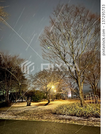 Night view of a winter park with snow lit by streetlights 137295733