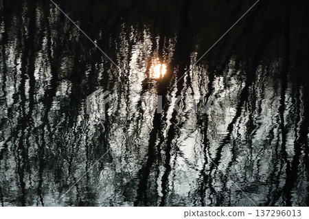 浪漫的茨城(冬日樹木的陰影籠罩著湖面,但溫暖的陽光卻讓它閃閃發光。)笠間市,白鳥湖 浪漫的茨城(冬日樹木的陰影籠罩著湖面,但溫暖的陽光卻讓它閃閃發光。)笠間市,白鳥湖 137296013