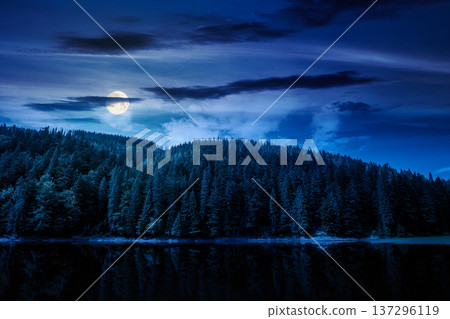 lake in summer mountain landscape at night. fresh body of water surrounded by coniferous forest in full moon light. spectacular scenery of alpine destination for photo tourism. mysterious fantasy lake in summer mountain landscape at night. fresh body of water surrounded by coniferous forest in full moon light. spectacular scenery of alpine destination for photo tourism. mysterious fantasy 137296119