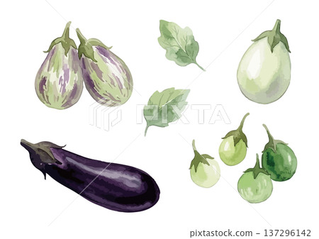 Watercolor illustration set of various eggplant varieties 137296142