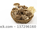 Assorted mushrooms in a colander Assorted mushrooms in a colander 137296160