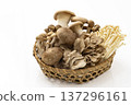Assorted mushrooms in a colander Assorted mushrooms in a colander 137296161