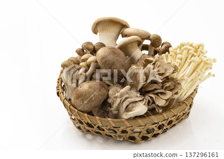 濾鍋裡的各種蘑菇 137296161