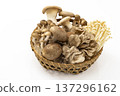 Assorted mushrooms in a colander Assorted mushrooms in a colander 137296162