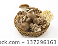 Assorted mushrooms in a colander Assorted mushrooms in a colander 137296163