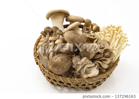 Assorted mushrooms in a colander 137296163