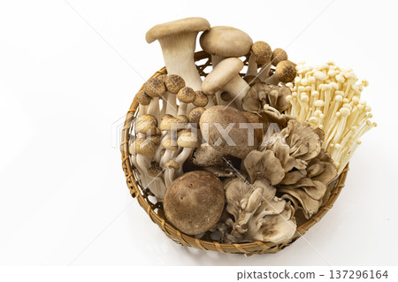 Assorted mushrooms in a colander 137296164