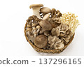 Assorted mushrooms in a colander Assorted mushrooms in a colander 137296165