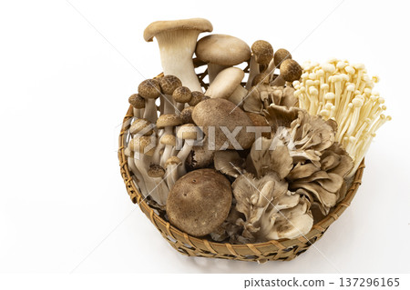 Assorted mushrooms in a colander 137296165