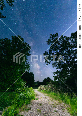 夜晚從林間小路望去，可以看到銀河和星星點點的夜空。 137296176