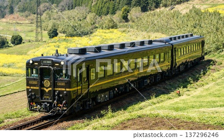 【寫實插畫】1962年觀光列車劇 137296246