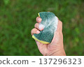 hand hold bubble with cleaning soap for clean dirty stain 137296323