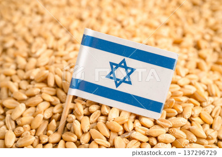Israel flag on grain wheat, trade export and economy. 137296729