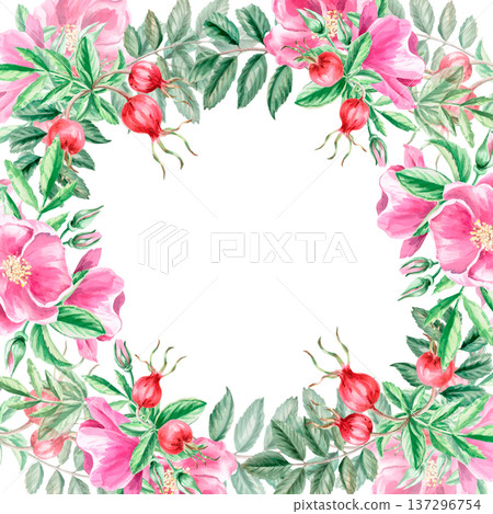 A square frame with rose hips and buds. Isolated watercolor illustration for designs related to natural ingredients, health, cosmetology, herbal medicine, as well as for wedding prints, cards, decor. A square frame with rose hips and buds. Isolated watercolor illustration for designs related to natural ingredients, health, cosmetology, herbal medicine, as well as for wedding prints, cards, decor. 137296754