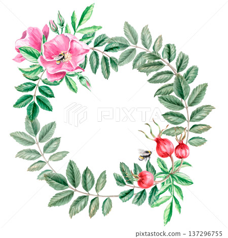 A round frame with rose hips, leaves, and flowers. Isolated watercolor illustration for herbal tea-themed designs, culinary and nature-related branding, environmental campaigns, educational materials. 137296755