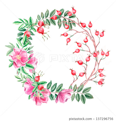 A round frame with a rosehip branch, flowers, and berries. Isolated watercolor illustration for herbal tea-themed designs, culinary and nature-related branding, environmental campaigns,. A round frame with a rosehip branch, flowers, and berries. Isolated watercolor illustration for herbal tea-themed designs, culinary and nature-related branding, environmental campaigns,. 137296756