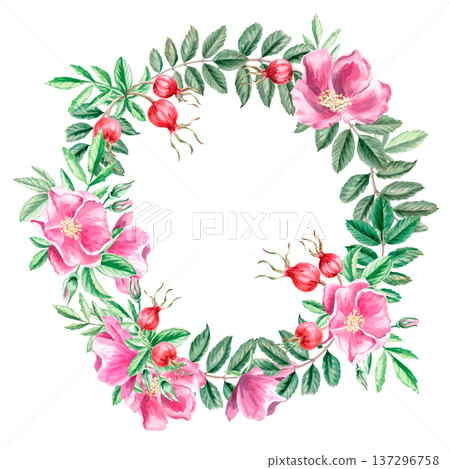 A round frame with rose hips and flowers. Isolated watercolor illustration for herbal tea-themed designs, culinary and nature-related branding, environmental campaigns, and educational materials. A round frame with rose hips and flowers. Isolated watercolor illustration for herbal tea-themed designs, culinary and nature-related branding, environmental campaigns, and educational materials. 137296758