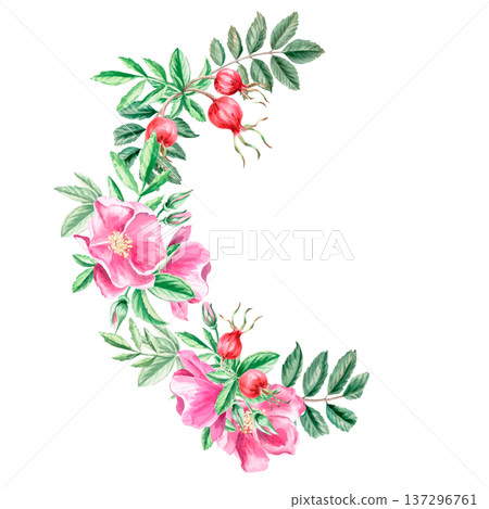 A semicircular branch with rose hips and flowers. Isolated watercolor illustration for herbal tea-themed designs, culinary and nature-related branding, environmental campaigns, educational materials. A semicircular branch with rose hips and flowers. Isolated watercolor illustration for herbal tea-themed designs, culinary and nature-related branding, environmental campaigns, educational materials. 137296761